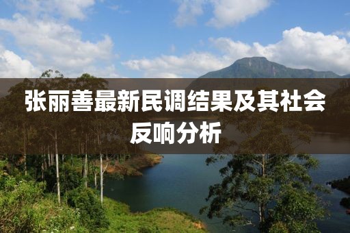 核心团队 第29页