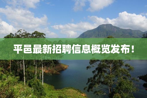 平邑最新招聘信息概览发布！