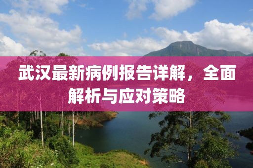 武汉最新病例报告详解，全面解析与应对策略