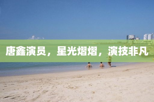 唐鑫演员，星光熠熠，演技非凡