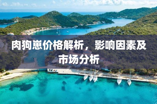 肉狗崽价格解析，影响因素及市场分析
