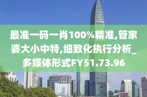 最准一码一肖100%精准,管家婆大小中特,细致化执行分析_多媒体形式FY51.73.96
