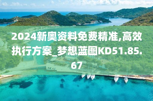 2024新奥资料免费精准,高效执行方案_梦想蓝图KD51.85.67