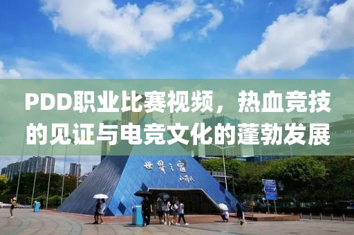 PDD职业比赛视频，热血竞技的见证与电竞文化的蓬勃发展