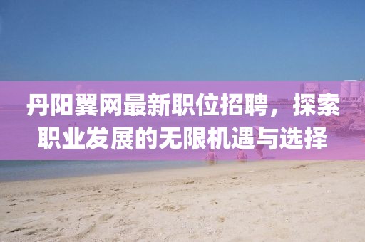 丹阳翼网最新职位招聘，探索职业发展的无限机遇与选择