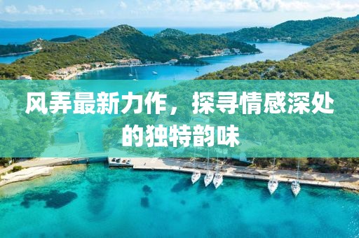 风弄最新力作，探寻情感深处的独特韵味