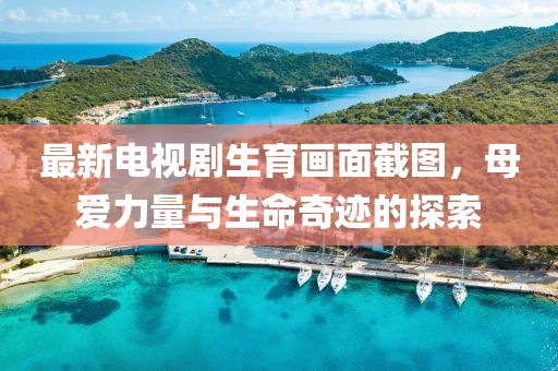 最新电视剧生育画面截图，母爱力量与生命奇迹的探索