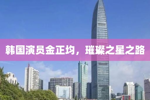 韩国演员金正均，璀璨之星之路