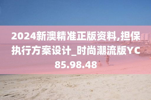 2024新澳精准正版资料,担保执行方案设计_时尚潮流版YC85.98.48