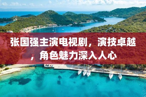 张国强主演电视剧，演技卓越，角色魅力深入人心