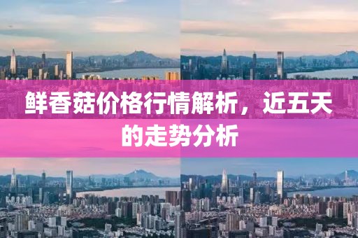 鲜香菇价格行情解析，近五天的走势分析
