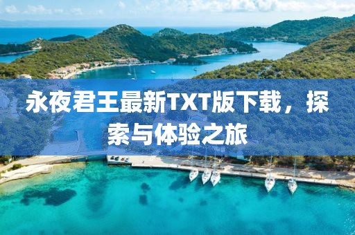 永夜君王最新TXT版下载，探索与体验之旅
