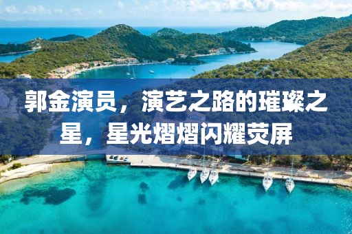 郭金演员，演艺之路的璀璨之星，星光熠熠闪耀荧屏