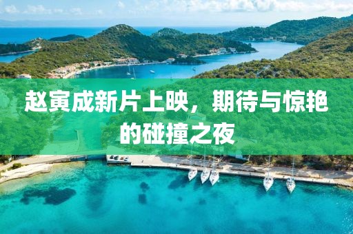 赵寅成新片上映，期待与惊艳的碰撞之夜