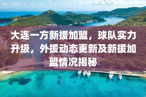 大连一方新援加盟，球队实力升级，外援动态更新及新援加盟情况揭秘
