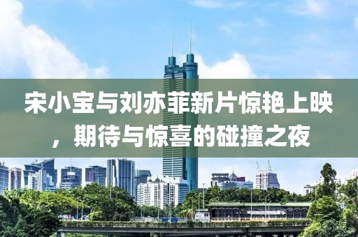 宋小宝与刘亦菲新片惊艳上映，期待与惊喜的碰撞之夜