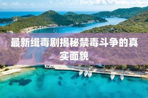 最新缉毒剧揭秘禁毒斗争的真实面貌