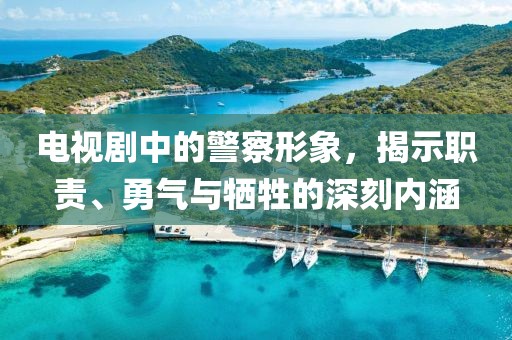 电视剧中的警察形象，揭示职责、勇气与牺牲的深刻内涵