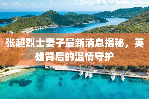 张超烈士妻子最新消息揭秘，英雄背后的温情守护