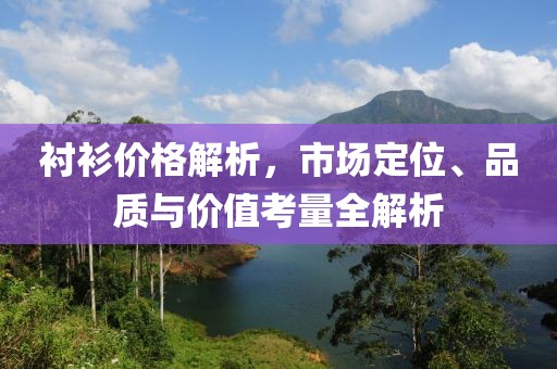 衬衫价格解析，市场定位、品质与价值考量全解析