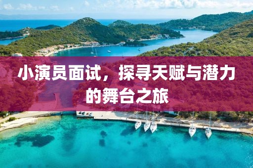 小演员面试，探寻天赋与潜力的舞台之旅