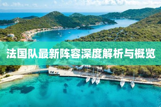 法国队最新阵容深度解析与概览