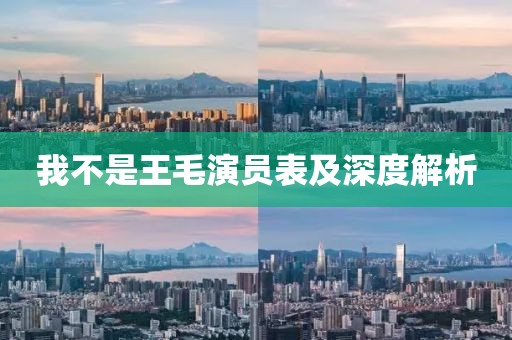 我不是王毛演员表及深度解析
