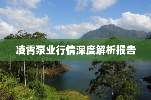 凌霄泵业行情深度解析报告