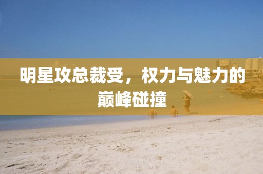 明星攻总裁受，权力与魅力的巅峰碰撞