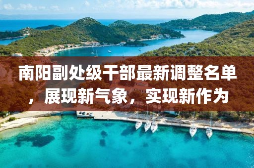 南阳副处级干部最新调整名单，展现新气象，实现新作为