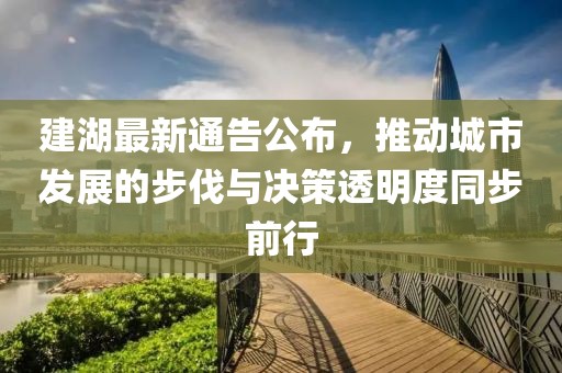 建湖最新通告公布，推动城市发展的步伐与决策透明度同步前行