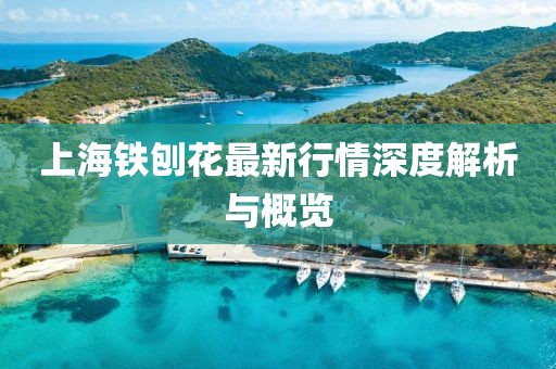上海铁刨花最新行情深度解析与概览