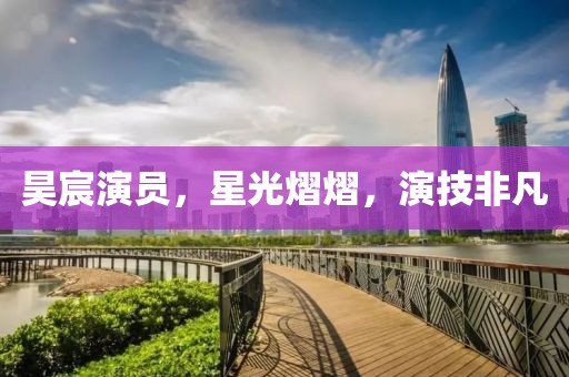 昊宸演员，星光熠熠，演技非凡