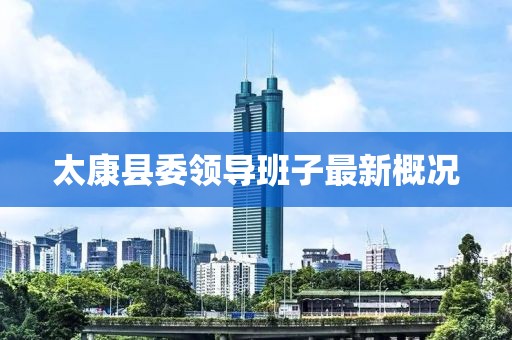 太康县委领导班子最新概况