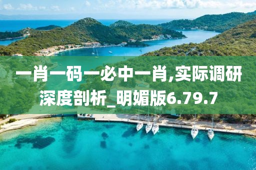 一肖一码一必中一肖,实际调研深度剖析_明媚版6.79.7