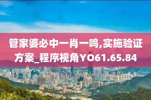 管家婆必中一肖一鸣,实施验证方案_程序视角YO61.65.84