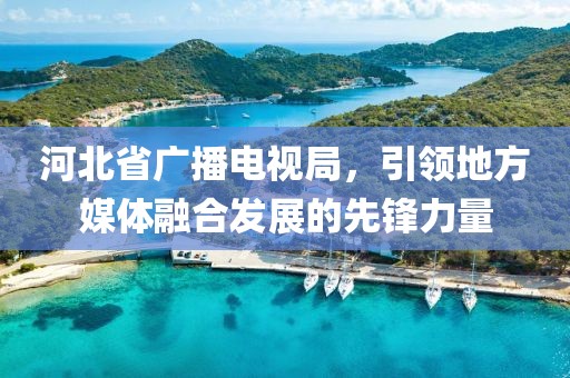 河北省广播电视局，引领地方媒体融合发展的先锋力量