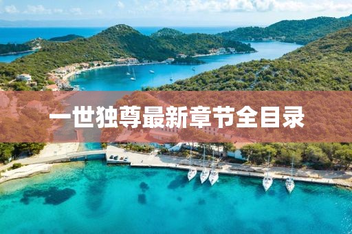 一世独尊最新章节全目录