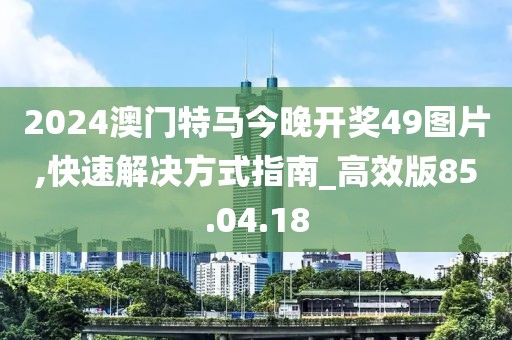 2024澳门特马今晚开奖49图片,快速解决方式指南_高效版85.04.18