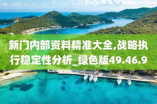新门内部资料精准大全,战略执行稳定性分析_绿色版49.46.90