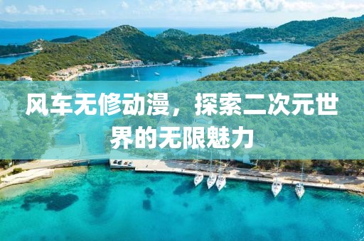 风车无修动漫，探索二次元世界的无限魅力