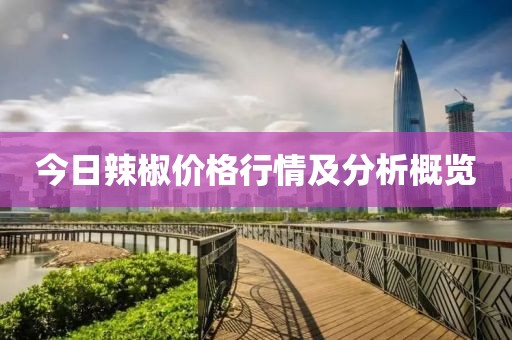 今日辣椒价格行情及分析概览