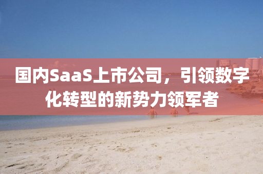 国内SaaS上市公司，引领数字化转型的新势力领军者