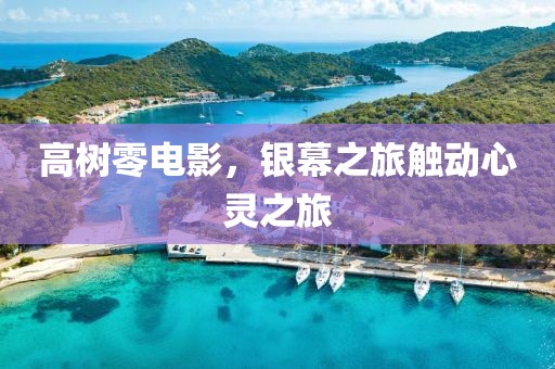 高树零电影，银幕之旅触动心灵之旅