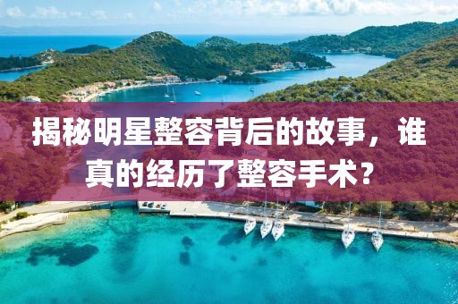 揭秘明星整容背后的故事，谁真的经历了整容手术？