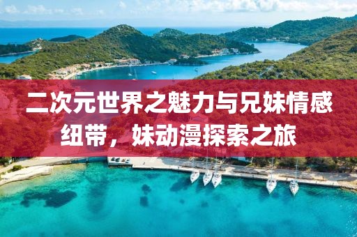 二次元世界之魅力与兄妹情感纽带，妹动漫探索之旅