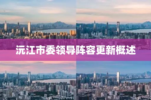 泡沫破灭 第23页