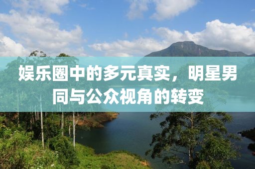 娱乐圈中的多元真实，明星男同与公众视角的转变