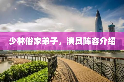 少林俗家弟子，演员阵容介绍