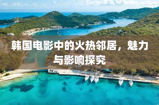 韩国电影中的火热邻居，魅力与影响探究